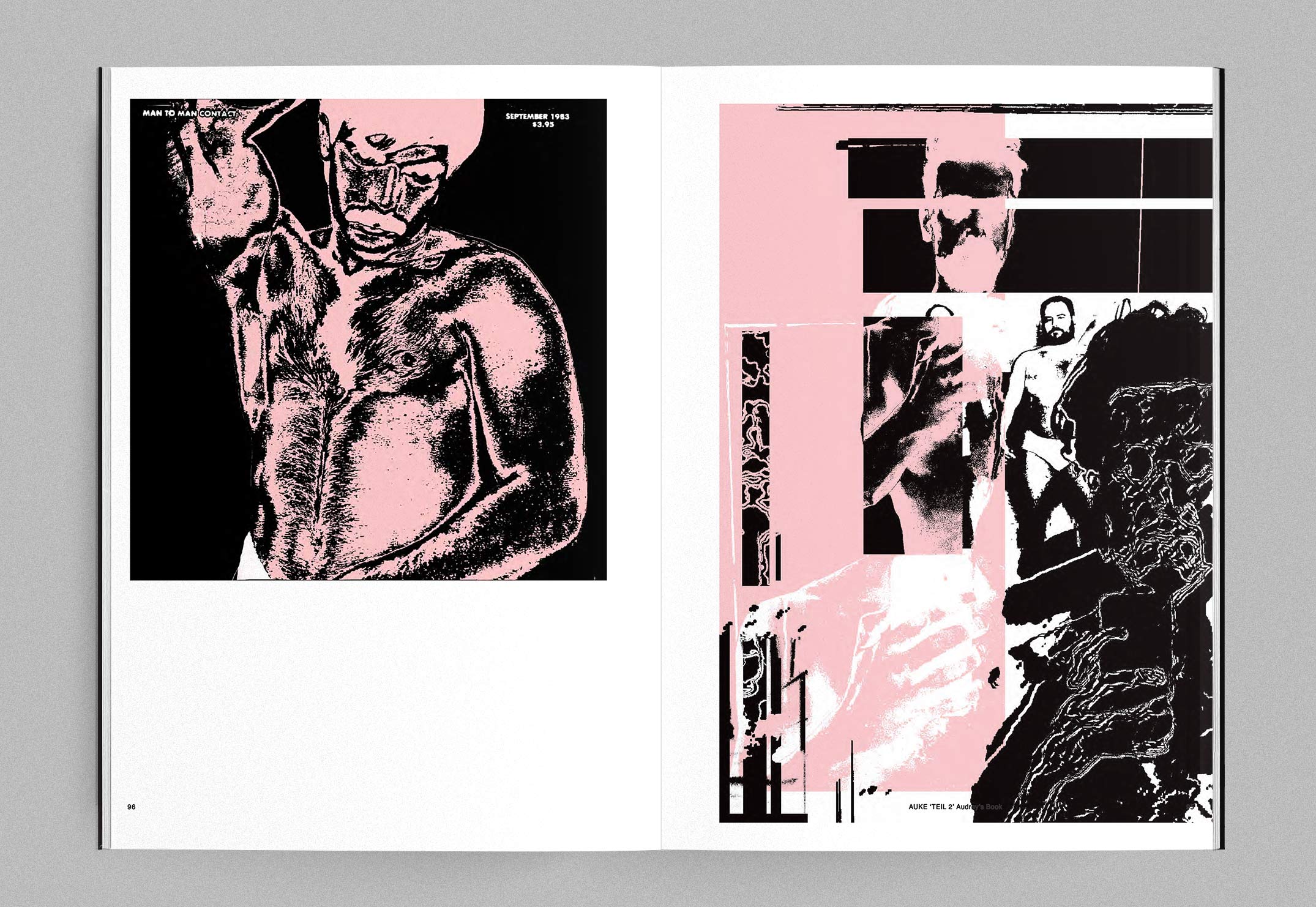 Studio Auke Triesschijn book design collage personal project graphic design