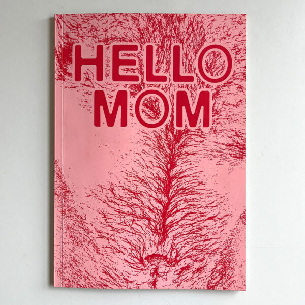 Hello Mom issue 1 screen printed riso print zine Auke Triesschijn