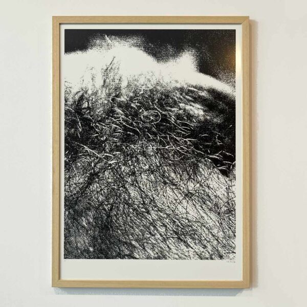 You're So Hairy (70x50) - Image 2
