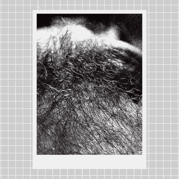 You're So Hairy (70x50)